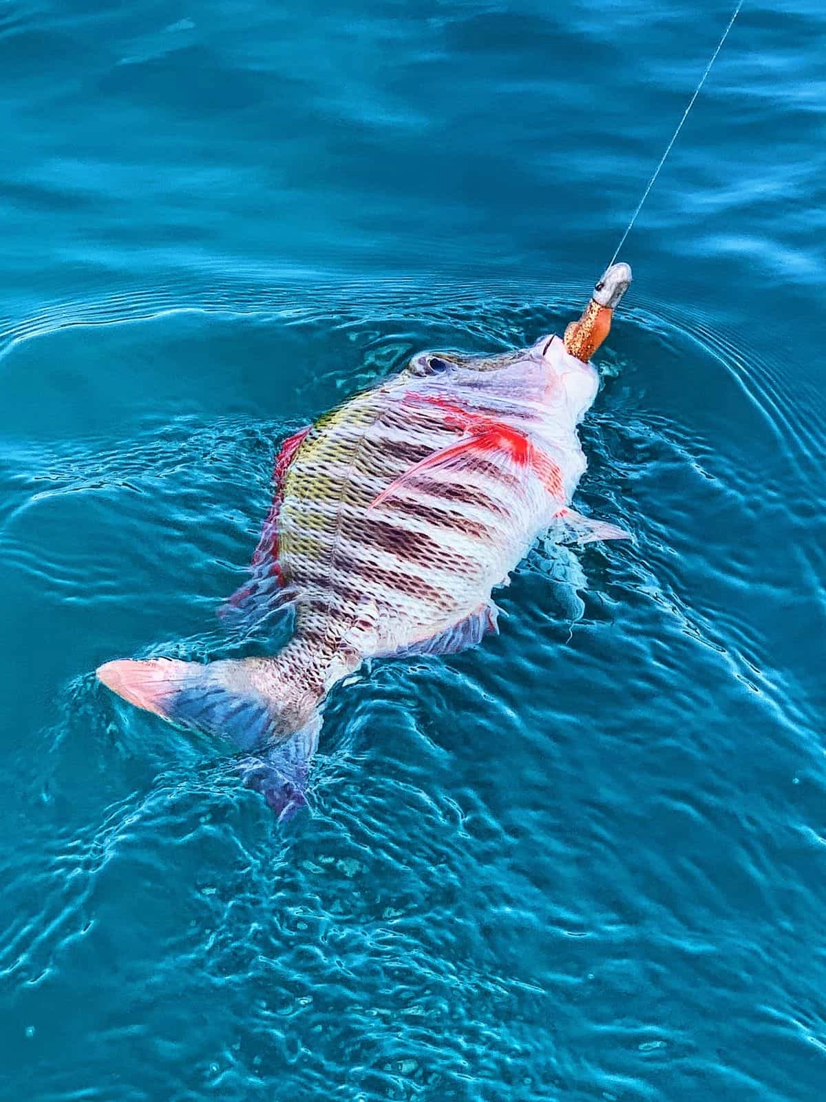 Fishing in Mauritius