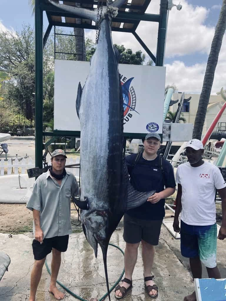 tuna charter fishing
